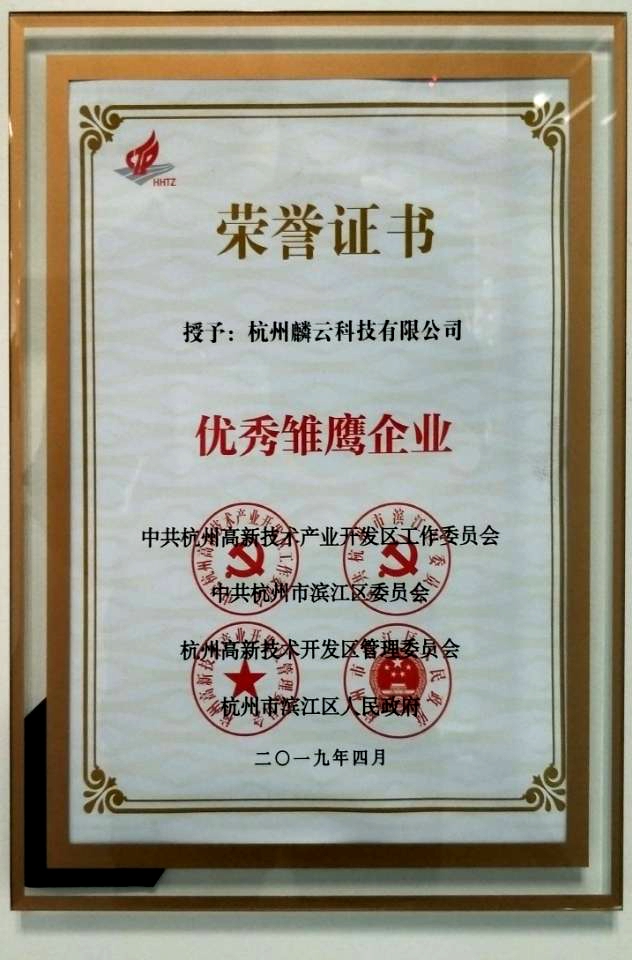 喜报 我司荣获杭州市 优秀雏鹰企业 荣誉称号 麟云科技 数慧交通服惠民生